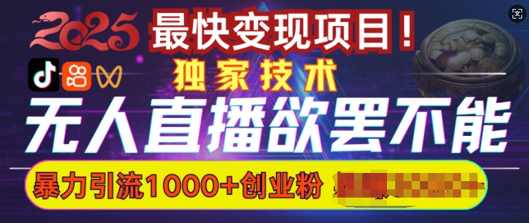 欲罢不能的无人直播引流，超暴力日引流1000+高质量精准创业粉-陈泽网创-资源网-最新项目分享网