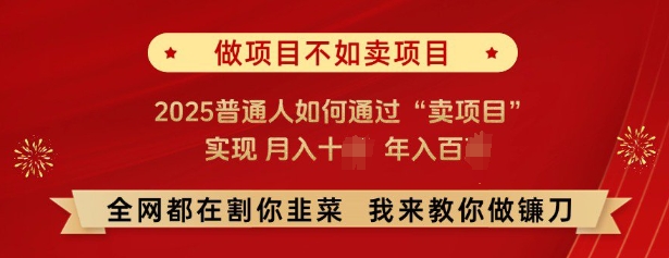 必看，做项目不如卖项目，2025普通人如何通过“卖项目”实现月入十个，年入百个-陈泽网创-资源网-最新项目分享网