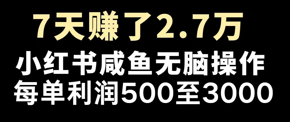 最赚钱项目之一，2025爆火，逆风翻盘！-陈泽网创-资源网-最新项目分享网