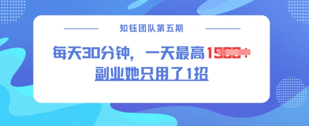 副业她只用了1招，每天30分钟，无脑二创，一天最高1.5k-陈泽网创-资源网-最新项目分享网