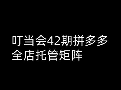 叮当会拼多多打爆班原创高阶技术第42期，拼多多全店托管矩阵-陈泽网创-资源网-最新项目分享网