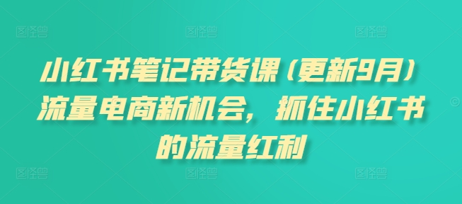 小红书笔记带货课(更新25年2月)流量电商新机会，抓住小红书的流量红利-陈泽网创-资源网-最新项目分享网