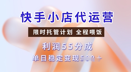 快手小店代运营，限时托管计划，收益55分，单日稳定变现多张【揭秘】-陈泽网创-资源网-最新项目分享网