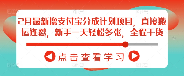 2月最新撸支付宝分成计划项目，直接搬运连怼，新手一天轻松多张，全程干货-陈泽网创-资源网-最新项目分享网