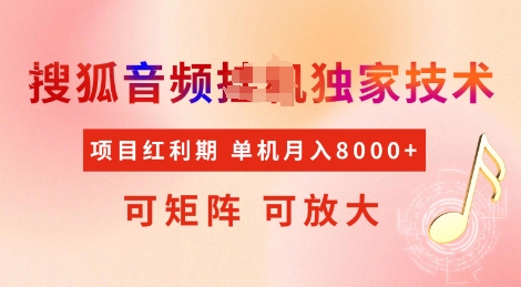 全网首发搜狐音频挂JI独家技术，项目红利期，可矩阵可放大，稳定月入8k【揭秘】-陈泽网创-资源网-最新项目分享网