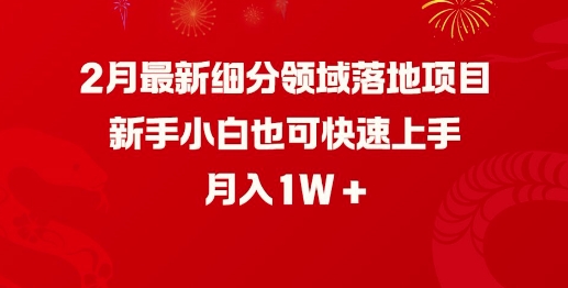 2月最新细分领域落地项目，新手小白也可快速上手，月入1W-陈泽网创-资源网-最新项目分享网