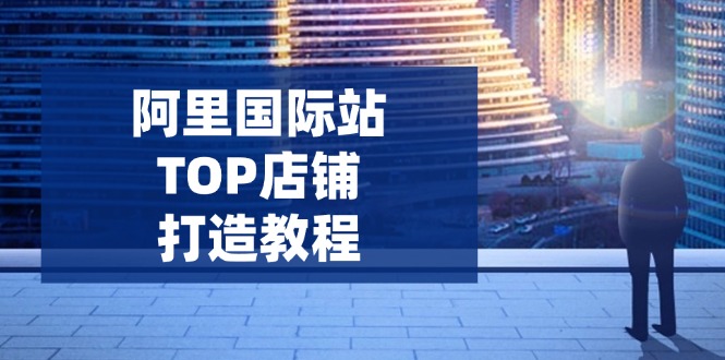 阿里国际站TOP店铺打造教程：涵盖平台到高阶，解决运营难题，提升询盘-陈泽网创-资源网-最新项目分享网