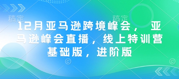 12月亚马逊跨境峰会， 亚马逊峰会直播，线上特训营基础版，进阶版-陈泽网创-资源网-最新项目分享网