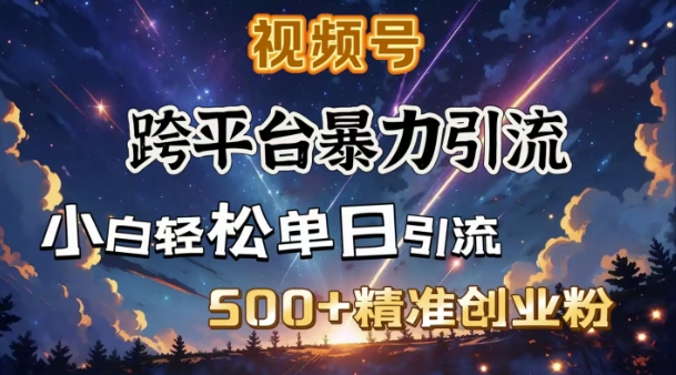 跨平台暴力引流，私域完美闭环，日引500+精准创业粉-陈泽网创-资源网-最新项目分享网