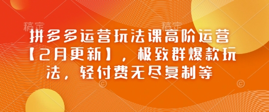 拼多多运营玩法课高阶运营【2月更新】，极致群爆款玩法，轻付费无尽复制等-陈泽网创-资源网-最新项目分享网