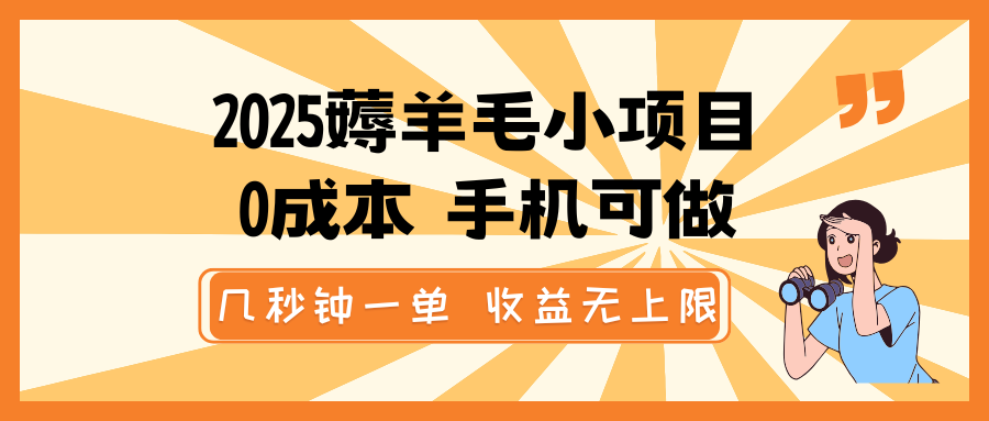 2025薅羊毛小项目，0成本 手机可做，几秒钟一单，收益无上限-陈泽网创-资源网-最新项目分享网