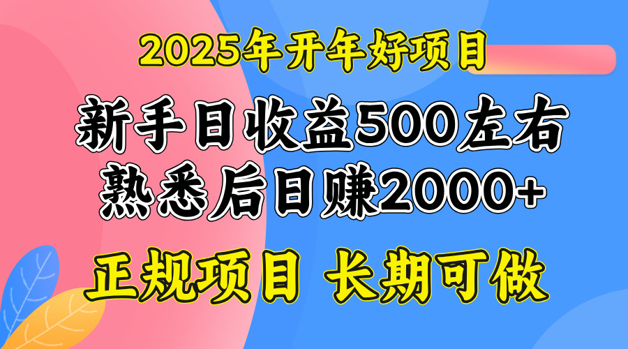 2025开年好项目，单号日收益2000左右-陈泽网创-资源网-最新项目分享网