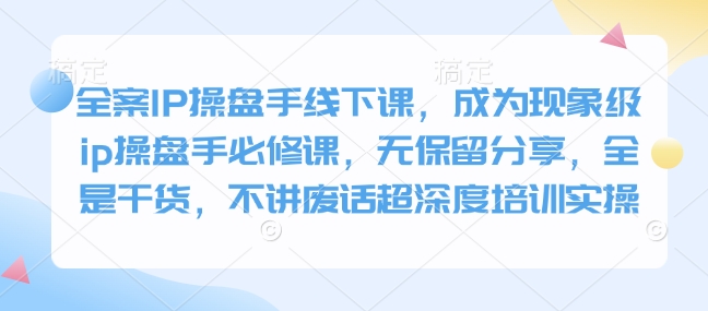 全案IP操盘手线下课，成为现象级ip操盘手必修课，无保留分享，全是干货，不讲废话超深度培训实操-陈泽网创-资源网-最新项目分享网