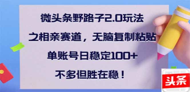 微头条野路子2.0玩法之相亲赛道，无脑搬砖复制粘贴，单账号日稳定300+…-陈泽网创-资源网-最新项目分享网