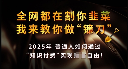 知识付费如何做到月入过W+，2025我来教你做“镰刀”【揭秘】-陈泽网创-资源网-最新项目分享网