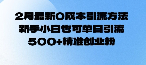 2月最新0成本引流方法，新手小白也可单日引流500+精准创业粉-陈泽网创-资源网-最新项目分享网