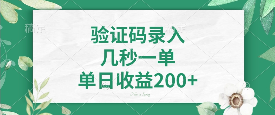 验证码录入，几秒一单，单日收益200+-陈泽网创-资源网-最新项目分享网