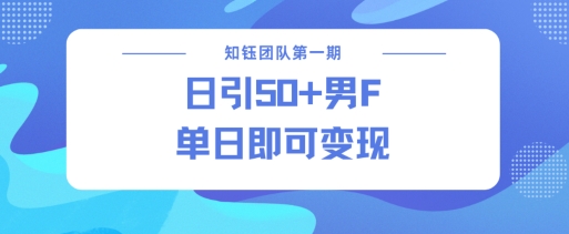 男粉引流新方法不违规，当日即可变现-陈泽网创-资源网-最新项目分享网