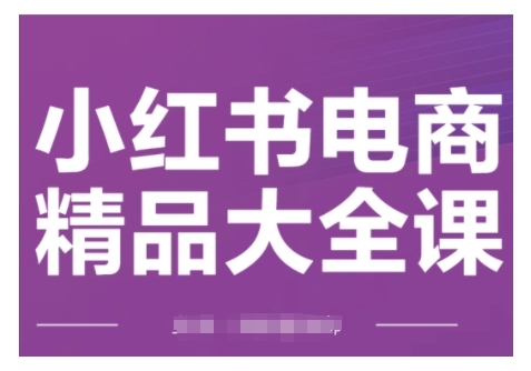 小红书电商精品大全课，快速掌握小红书运营技巧，实现精准引流与爆单目标，轻松玩转小红书电商(更新2月)-陈泽网创-资源网-最新项目分享网