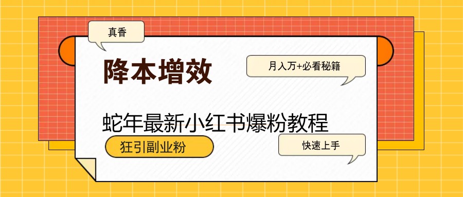 图片[1]-蛇年最新小红书爆粉教程，狂引副业粉，月入万+必看-陈泽网创-资源网-最新项目分享网