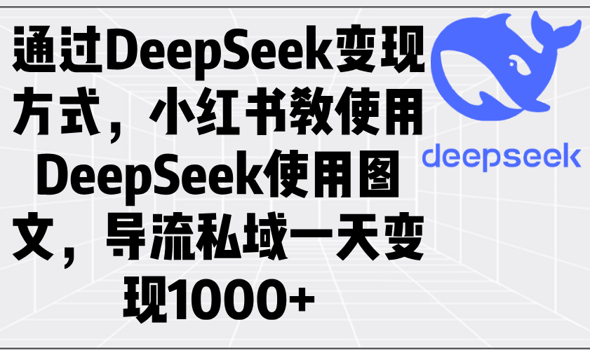 通过DeepSeek变现方式，小红书教使用DeepSeek图文，导流私域一天变现1000+-陈泽网创-资源网-最新项目分享网