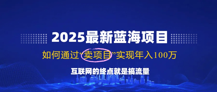 2025最新蓝海项目，零门槛轻松复制，月入10万+，新手也能操作！-陈泽网创-资源网-最新项目分享网