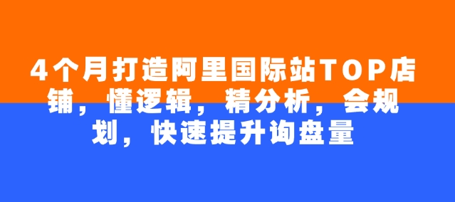 4个月打造阿里国际站TOP店铺，懂逻辑，精分析，会规划，快速提升询盘量-陈泽网创-资源网-最新项目分享网