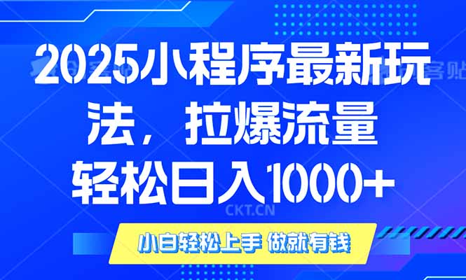 2025年小程序最新玩法，流量直接拉爆，单日稳定变现1000+-陈泽网创-资源网-最新项目分享网