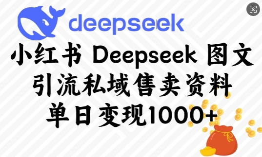 小红书Deepseek图文引流私域售卖资料，单日变现多张-陈泽网创-资源网-最新项目分享网