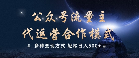 公众号流量主代运营  多种变现方式 轻松日入5张【揭秘】-陈泽网创-资源网-最新项目分享网