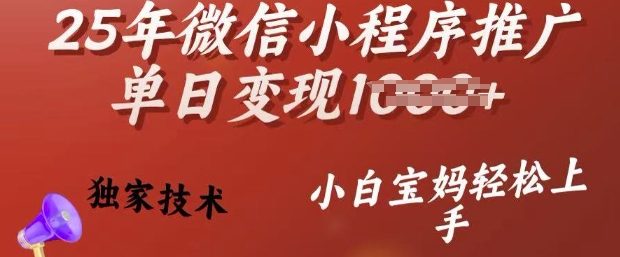 25年微信小程序推广单日变现多张，独家技术，小白宝妈轻松上手【揭秘】-陈泽网创-资源网-最新项目分享网