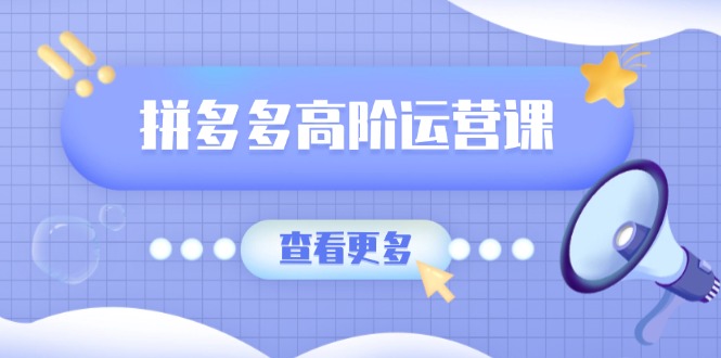 拼多多高阶运营课：极致群爆款玩法，轻付费无尽复制，打造单品爆款之路-陈泽网创-资源网-最新项目分享网