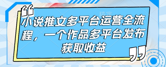 小说推文多平台运营全流程，一个作品多平台发布获取收益-陈泽网创-资源网-最新项目分享网