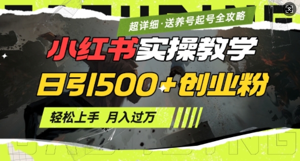 2月小红书最新日引500+创业粉实操教学【超详细】小白轻松上手，月入1W+，附小红书养号起号SOP-陈泽网创-资源网-最新项目分享网