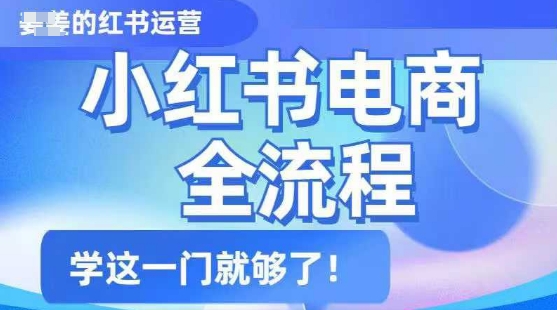 小红书电商全流程，精简易懂，从入门到精通，学这一门就够了-陈泽网创-资源网-最新项目分享网