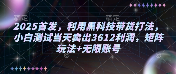 2025首发，利用黑科技带货打法，小白测试当天卖出3612利润，矩阵玩法+无限账号【揭秘】-陈泽网创-资源网-最新项目分享网