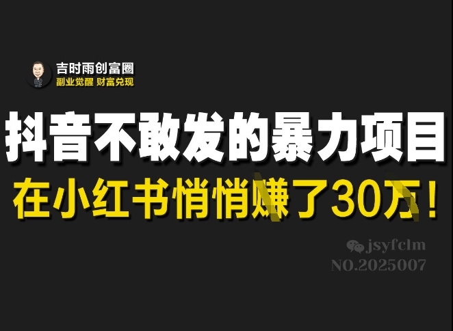 抖音不敢发的暴利项目，在小红书悄悄挣了30W-陈泽网创-资源网-最新项目分享网