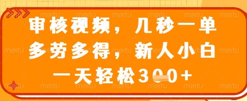 审核视频，几秒一单，多劳多得，新人小白一天轻松3张【揭秘】-陈泽网创-资源网-最新项目分享网