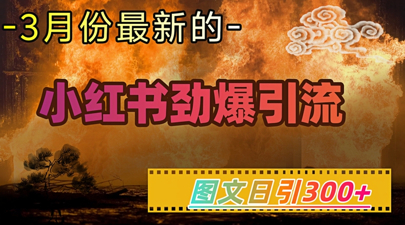 小红书超劲爆引流手段，图文日引300+轻松变现1W-陈泽网创-资源网-最新项目分享网