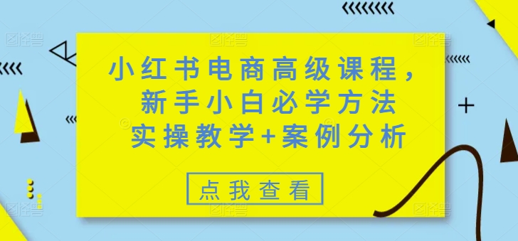 小红书电商高级课程，新手小白必学方法，实操教学+案例分析-陈泽网创-资源网-最新项目分享网