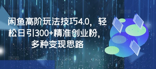 闲鱼高阶玩法技巧4.0，轻松日引300+精准创业粉，多种变现思路-陈泽网创-资源网-最新项目分享网