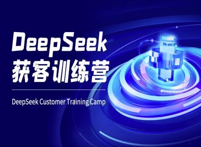 DeepSeek获客训练营-ai电商教程-陈泽网创-资源网-最新项目分享网