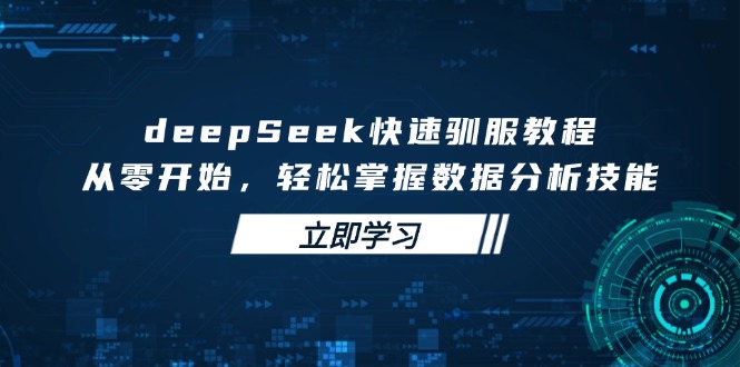 deepSeek快速驯服教程，从零开始，轻松掌握数据分析技能-陈泽网创-资源网-最新项目分享网