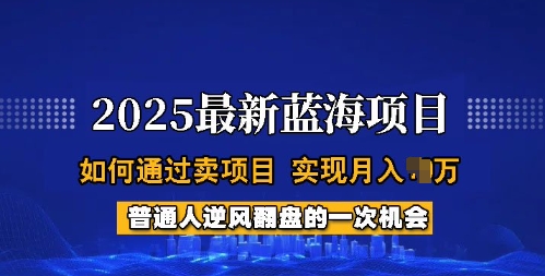 2025蓝海项目，普通人如何通过卖项目，实现月入过W，全过程【揭秘】-陈泽网创-资源网-最新项目分享网