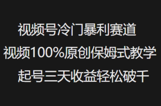 视频号冷门暴利赛道视频100%原创保姆式教学起号三天收益轻松破千-陈泽网创-资源网-最新项目分享网