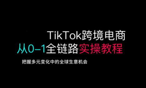 TikTok跨境电商从0-1全链路全方位实操教程，把握多元变化中的全球生意机会-陈泽网创-资源网-最新项目分享网