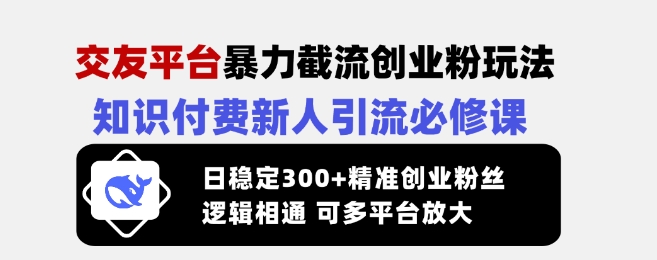 交友平台暴力截流创业粉玩法，知识付费新人引流必修课，日稳定300+精准创业粉丝，逻辑相通可多平台放大-陈泽网创-资源网-最新项目分享网