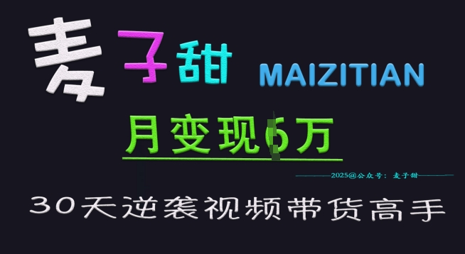 麦子甜30天逆袭视频带货高手，单月变现6W加特训营-陈泽网创-资源网-最新项目分享网