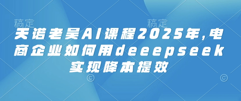 天诺老吴AI课程2025年，电商企业如何用deeepseek实现降本提效-陈泽网创-资源网-最新项目分享网