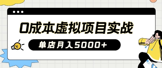 0成本虚拟项目实战手把手教你落地，单店月入5k-陈泽网创-资源网-最新项目分享网